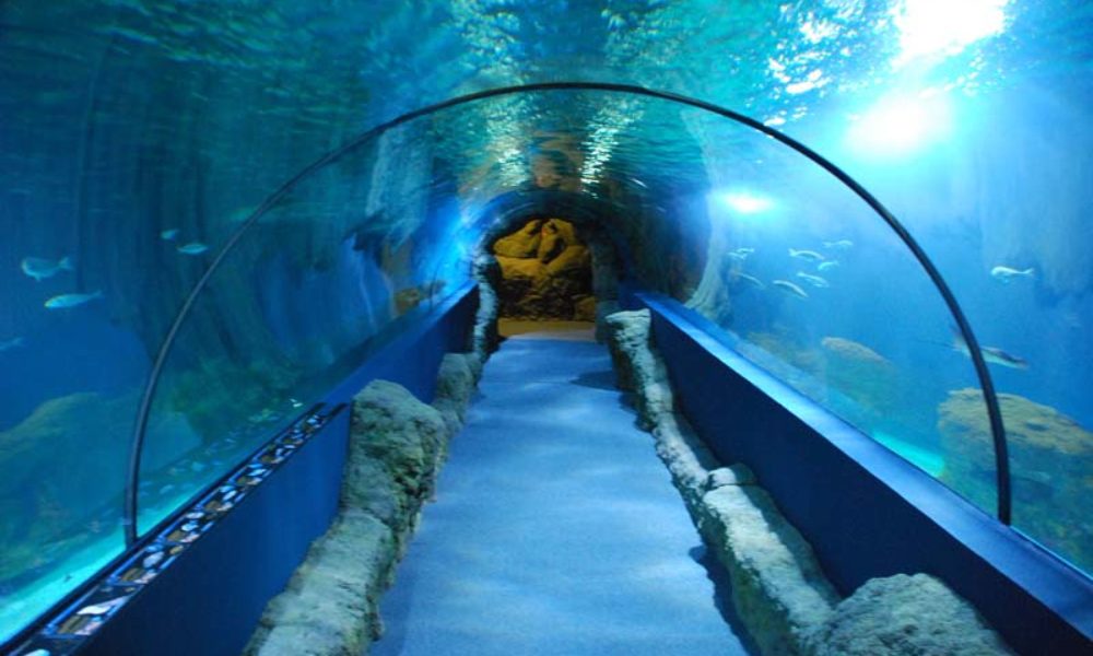Visita al acuario de Almuñécar