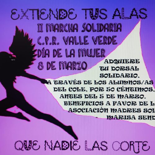 II Marcha Solidaria en favor de Madres Solas